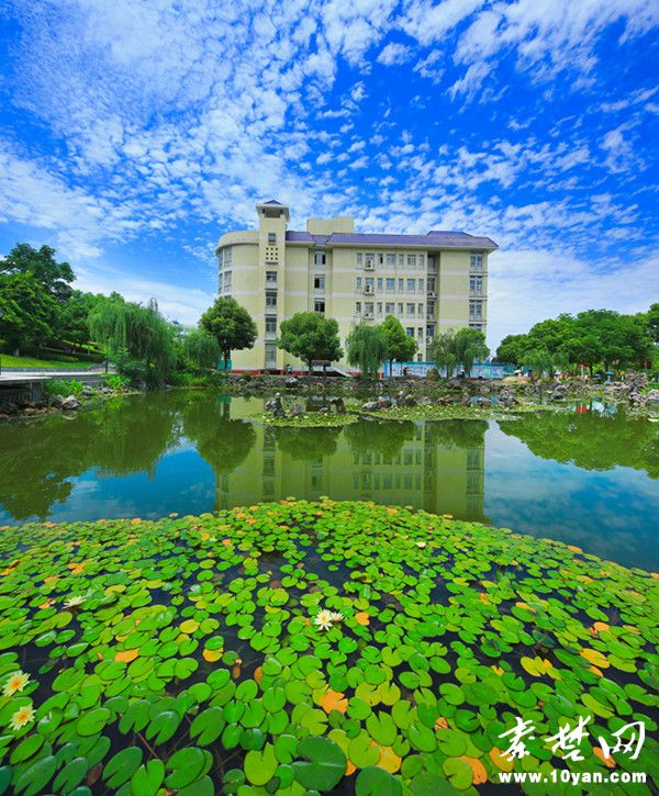http://news.hbmu.edu.cn/__local/C/35/6F/922A0FAD25E3656AA847EFF2FCA_2B019320_202A1.jpg